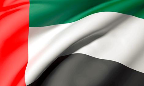 UAE flag
