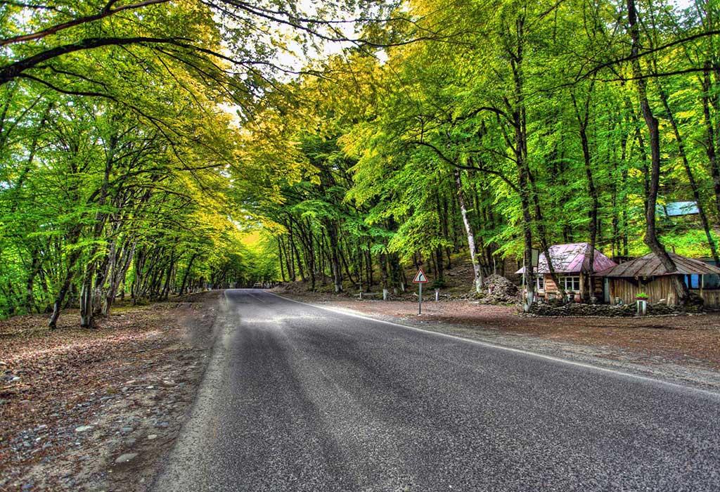 Tour to the North — Forests and Mountains of Quba
