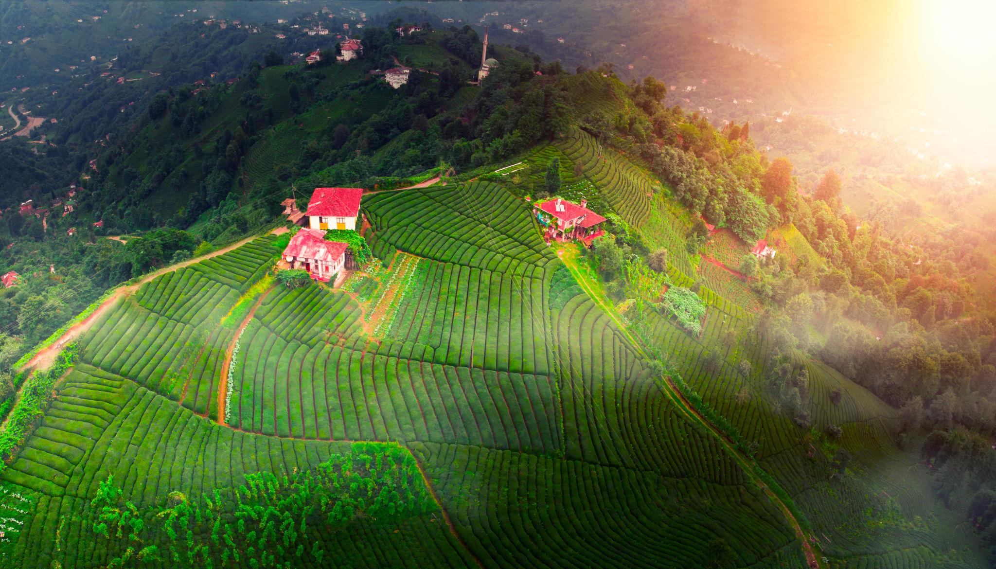 Trabzon & Rize Tour